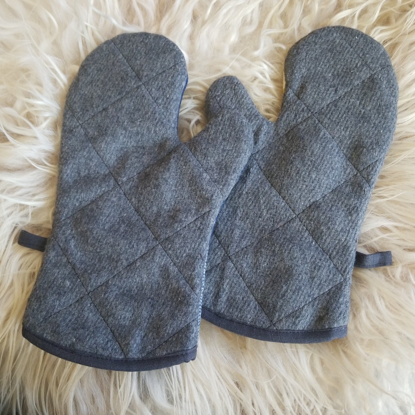 Fossil Springs Oven Mitts