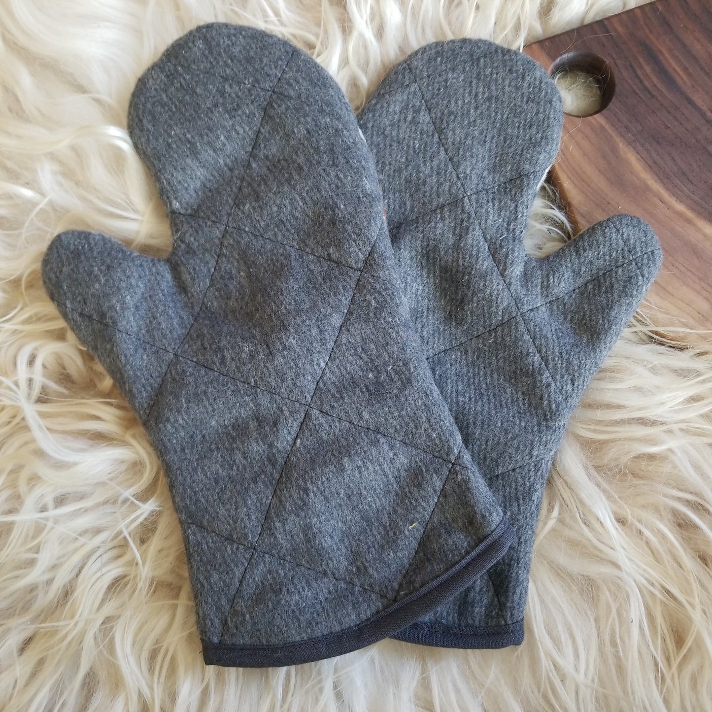 Prairie Rush Hour Oven Mitts