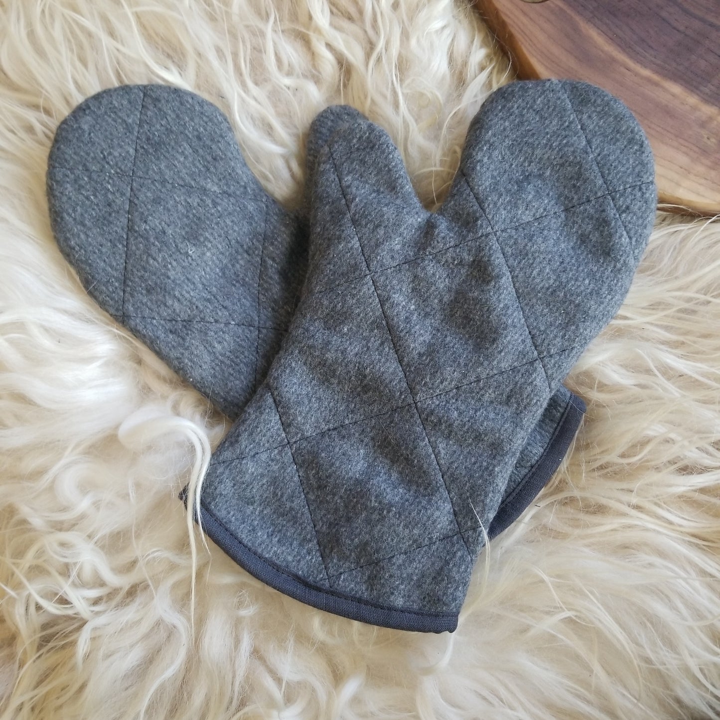 Fossil Springs Oven Mitts